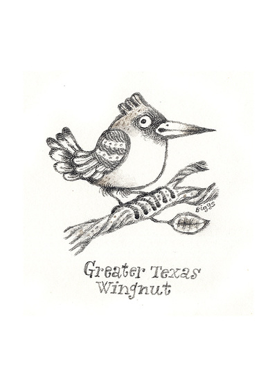 Imaginary Ornithology: Greater Texas Wingnut, Brian Biggs