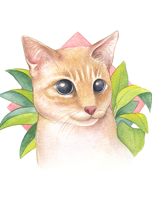 Cat Portrait, Brenda Cibrian