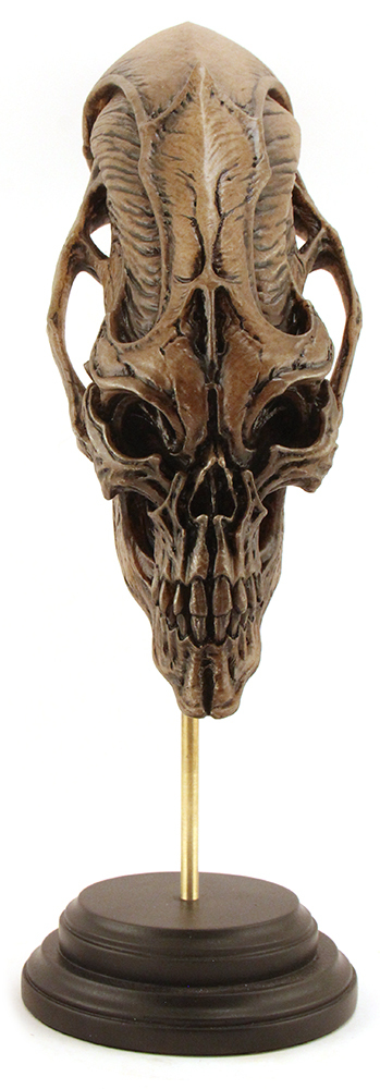 Alien Skull (Brown), AKIHITO