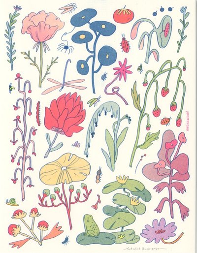 Small Floral Print, Natalie Andrewson