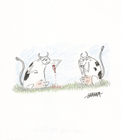 Doodle 6 - cows using hot sauce, Graham Annable