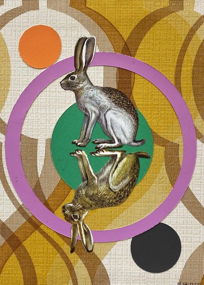 Double Vision, Maureen Shields