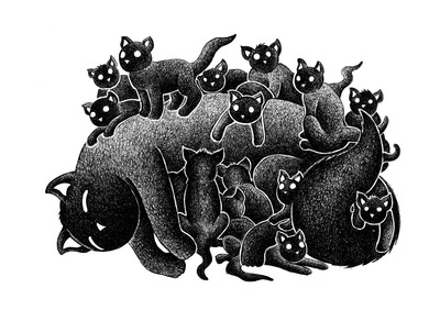 Cat Critters, Allison Conway